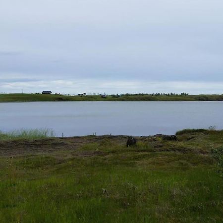 Lakeview Cabin Near Kirkjubæjarklaustur エクステリア 写真