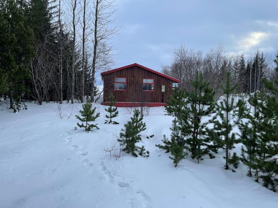 Lakeview Cabin Near Kirkjubæjarklaustur エクステリア 写真